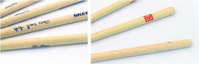 Zebra Colored Pencil