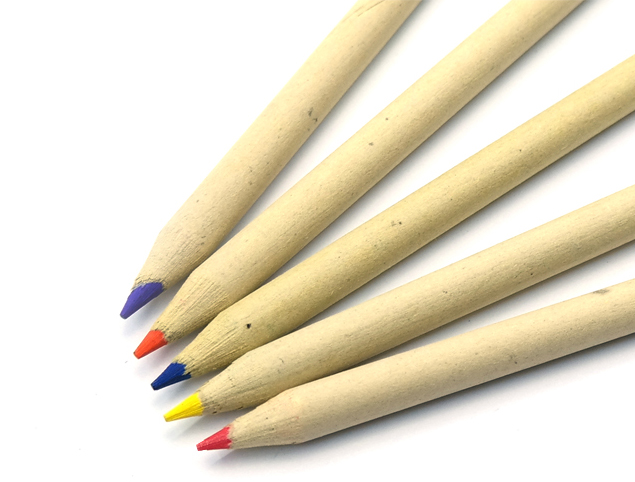 Zebra Colored Pencil